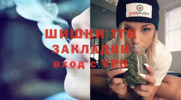 индика Заволжье