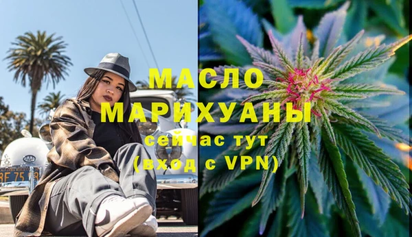 индика Заволжье
