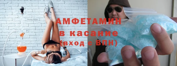 индика Заволжье
