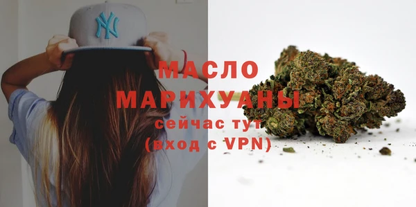 индика Заволжье