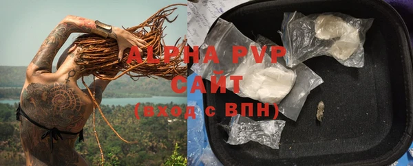индика Заволжье