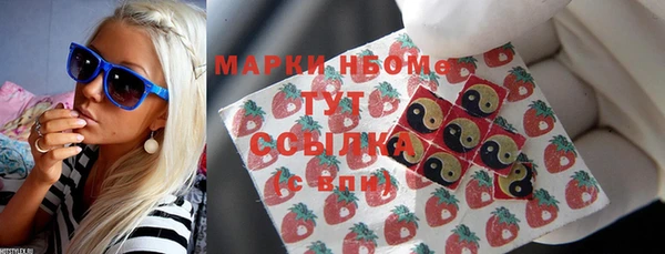 индика Заволжье